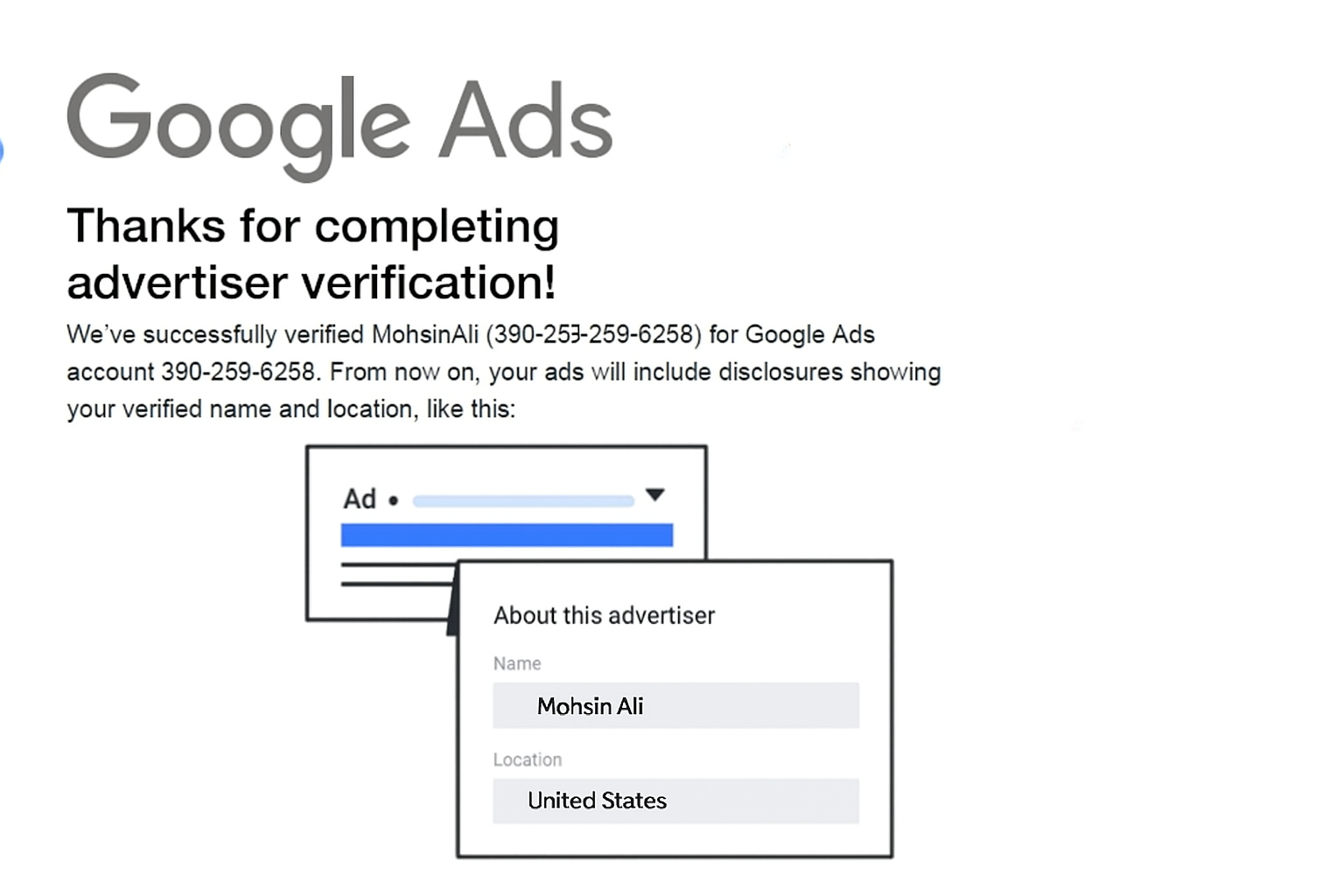 Google Ads verification and performance visual